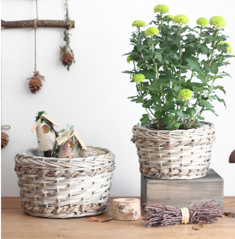 Handwoven Willow Wicker Flower Basket for Home Decor